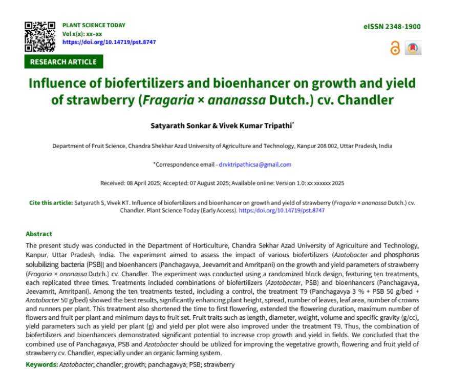Influence of biofertilizers and bioenhancer on growth and yield of ...